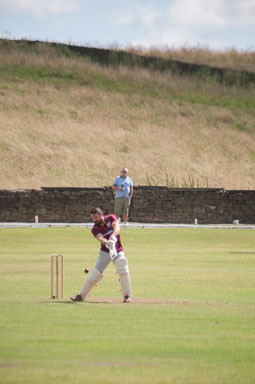 2014 Cricket Day